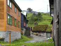 foto10058.jpg (66429 bytes)